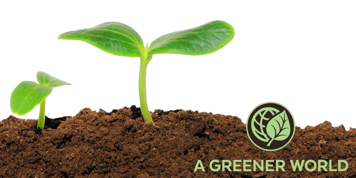 Organic Sustainable Grass-Fed Whey Protein Powder AGN Roots