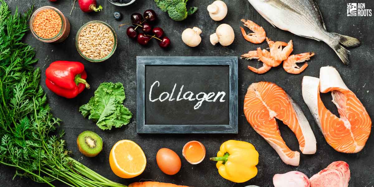 Collagen Explained - How Much Collagen Should I Take Per Day?