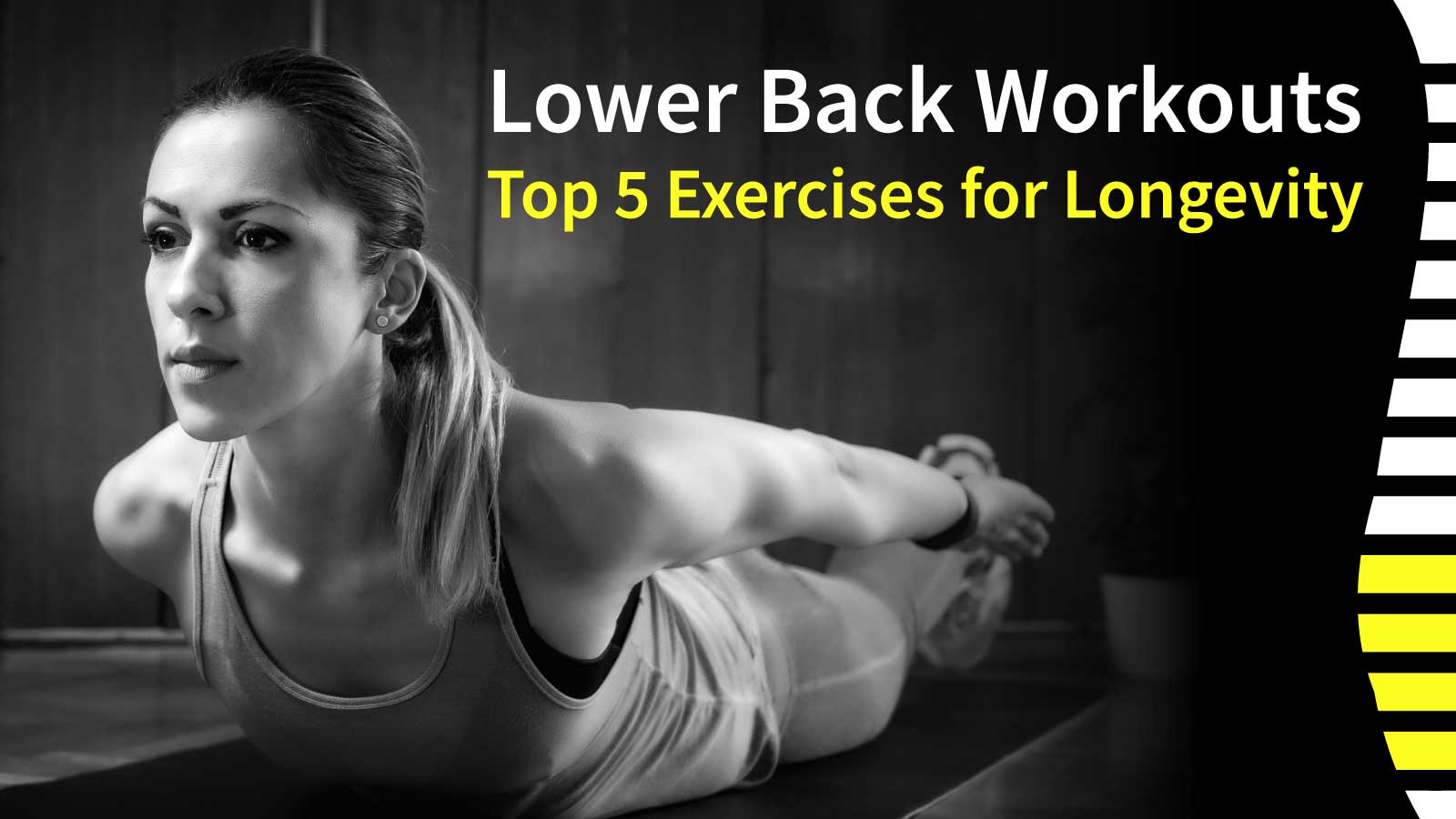 Lower Back Exercises - Top 5 for Quality of Life & Longevity AGN Roots Grass-Fed Whey