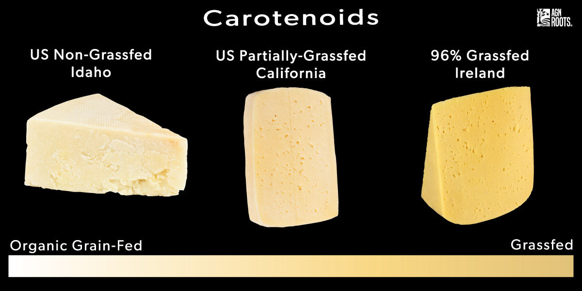 Why is Grassfed whey more yellow ?