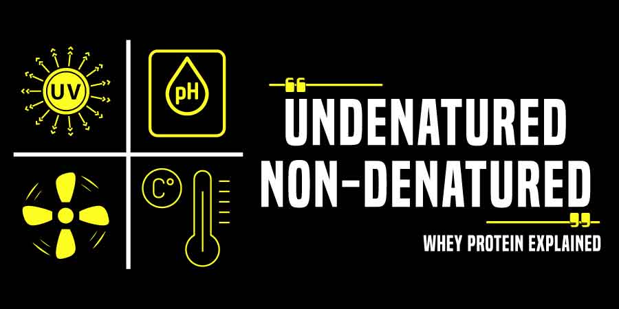 What Is Undenatured Whey Protein? Explained What Is Undenatured Whey Protein? Explained