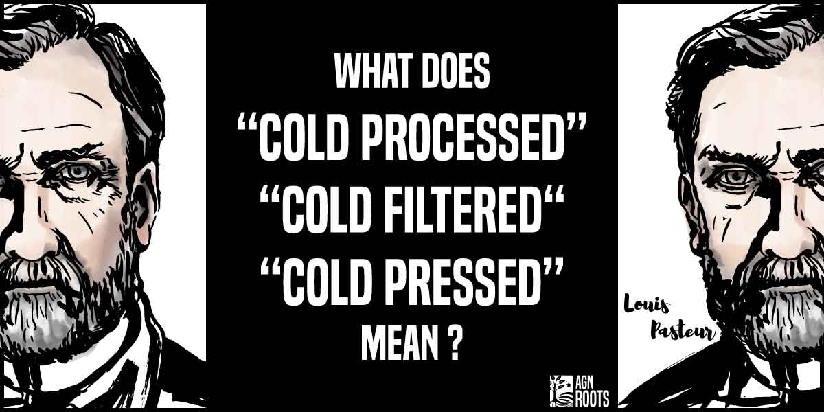 What is the difference Cold Processed, Cold Pressed, & Cold Filtered Whey Protein?