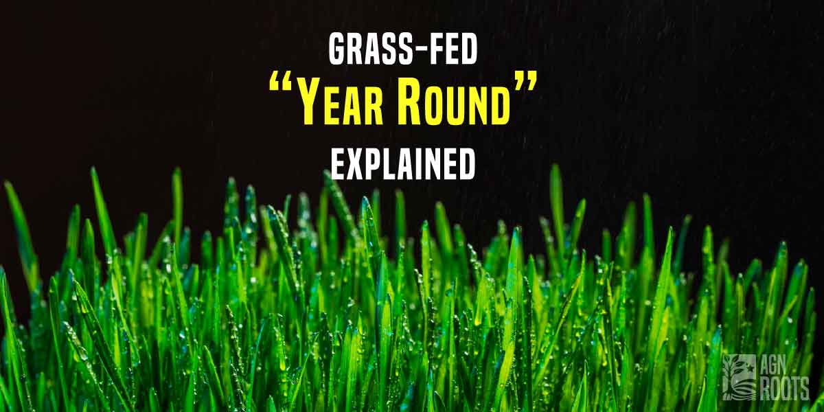 What Does Grassfed "Year-Round" Mean ?  Ireland is one of the only countries in the world that can support grass-fed diary year round without chemical intervention!  AGN Roots Grass-Fed Whey