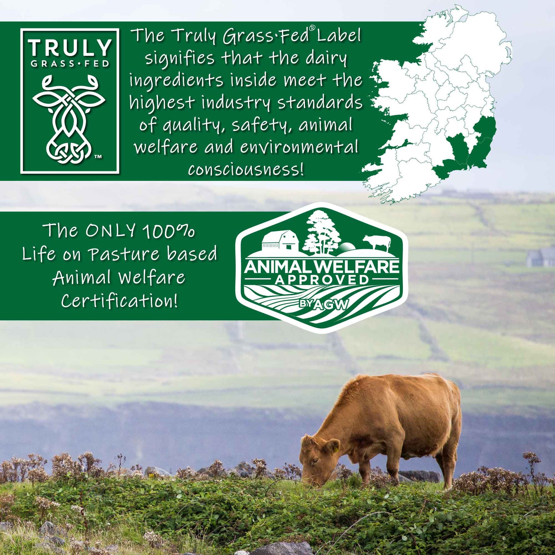 AGN Roots & Truly Grass·Fed™ Whey Protein Isolate - Rated Best Whey 2023