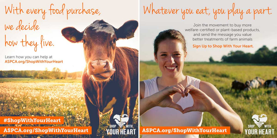 Shop With Your Heart - ASPCA Certifies AGN Roots Grassfed Whey