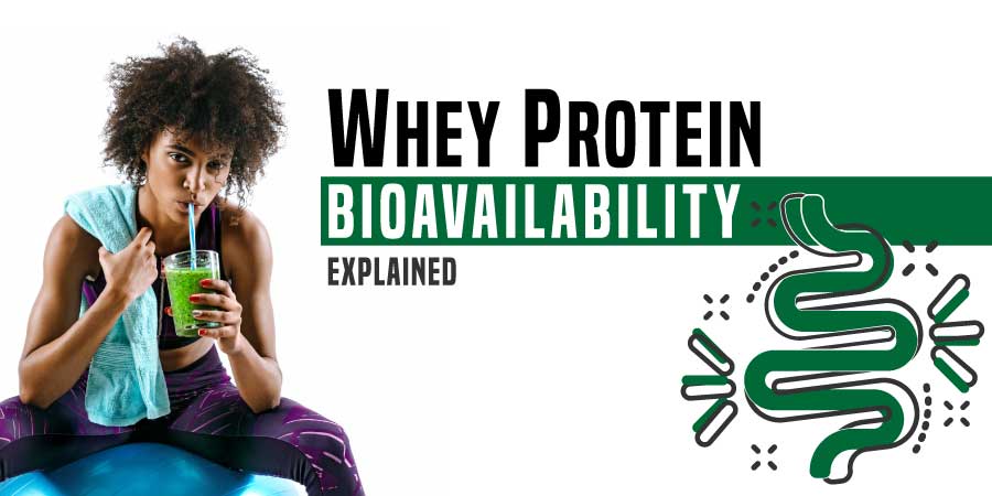 Whey Bioavailability - Explained in Detail