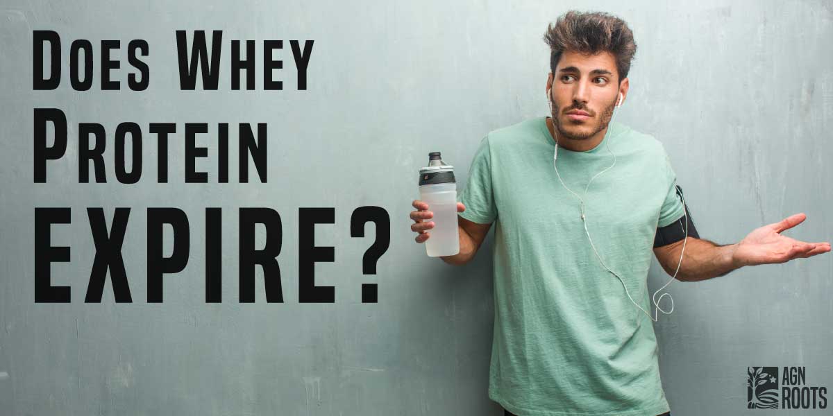 Does Whey Protein Powder Expire? Is it Safe to Eat?