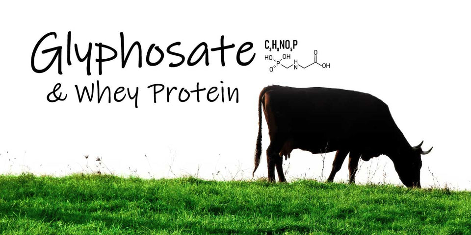 Glyphosate in Whey Protein? Tested Whey Protein for Glyphosate