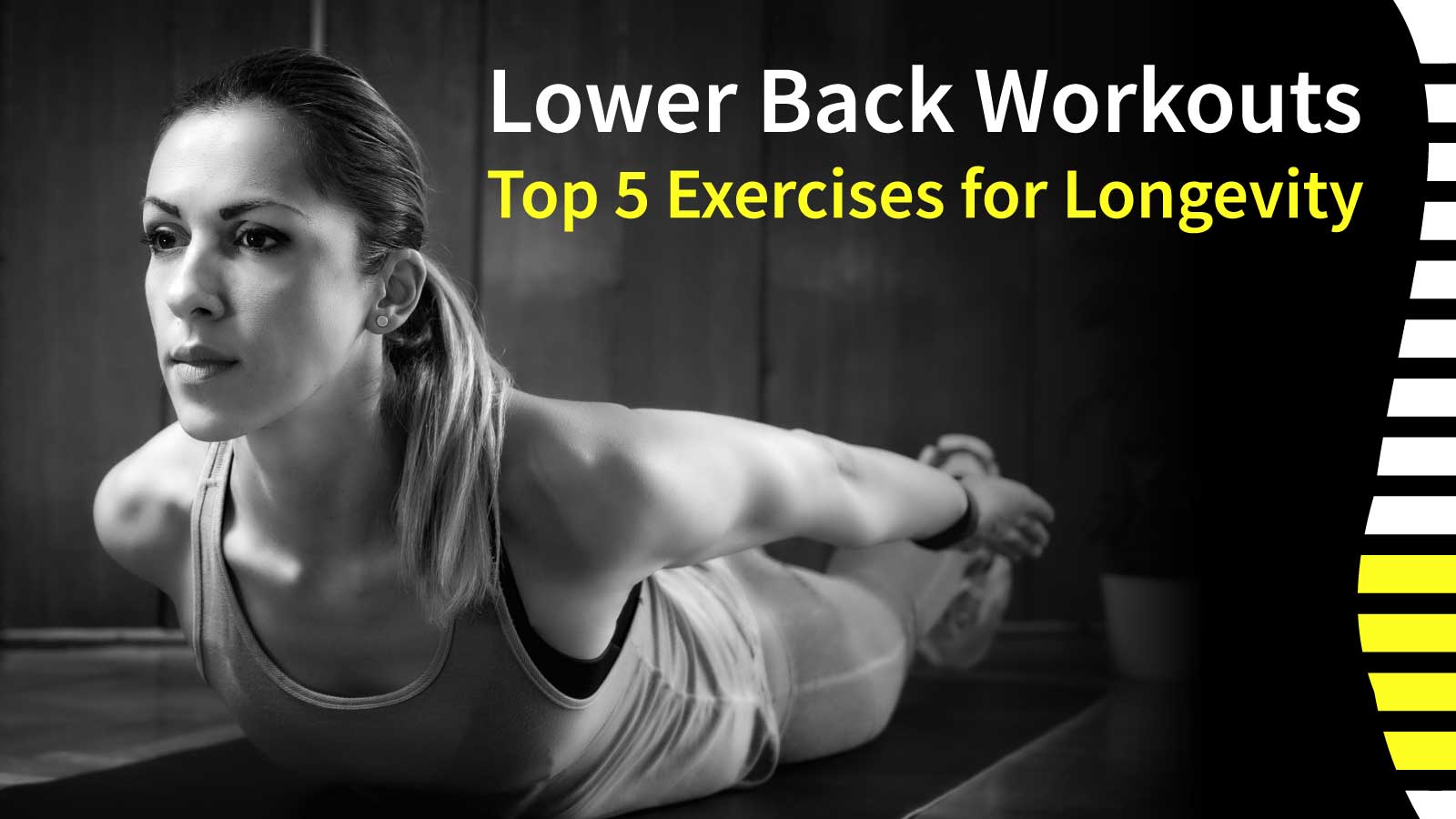 Lower Back Exercises - Top 5 for Quality of Life & Longevity  AGN Roots Grass-Fed Whey