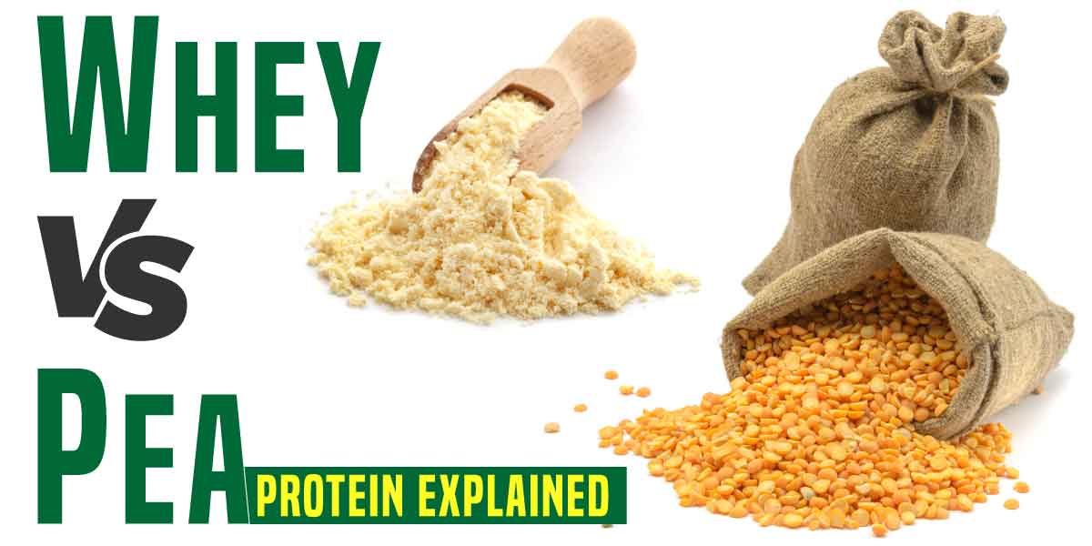 Pea Protein Vs. Whey Protein  Is Pea Protein Better than Whey Protein? The Best Protein Powders