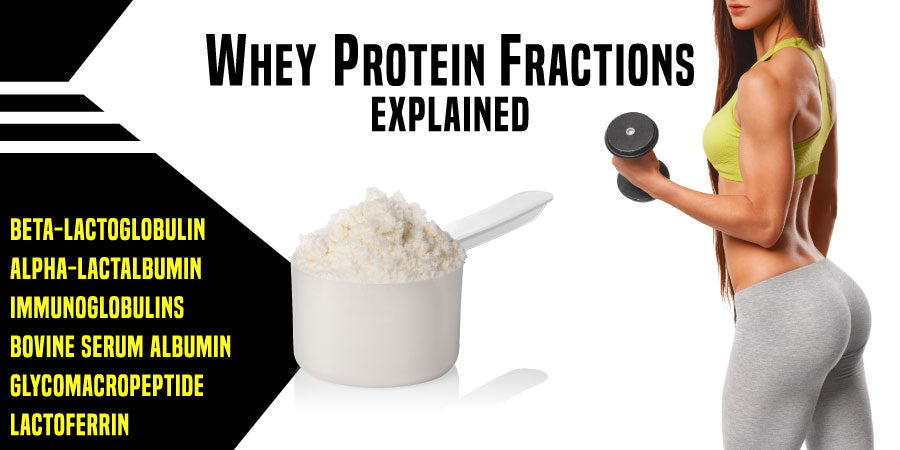 Whey Protein Fractions Explained, What are whey protein fractions?, What is Beta-Lactalbumin, Immunoglobulins? 
