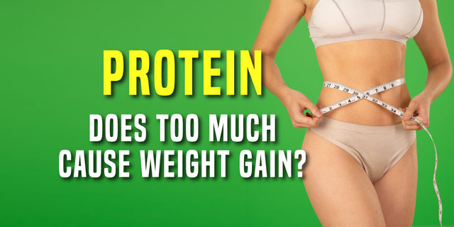 Can Too Much Protein Make You Gain Weight