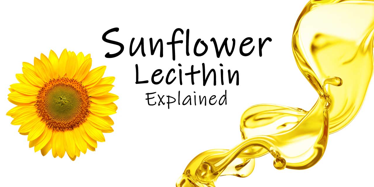 What is Sunflower Lecithin in Whey Protein Powder?