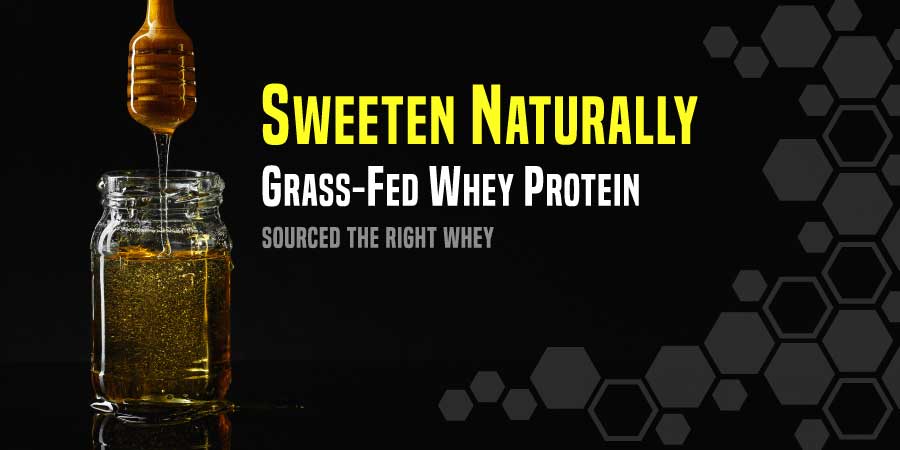 Whey Protein Isolate Without Sucralose or Stevia