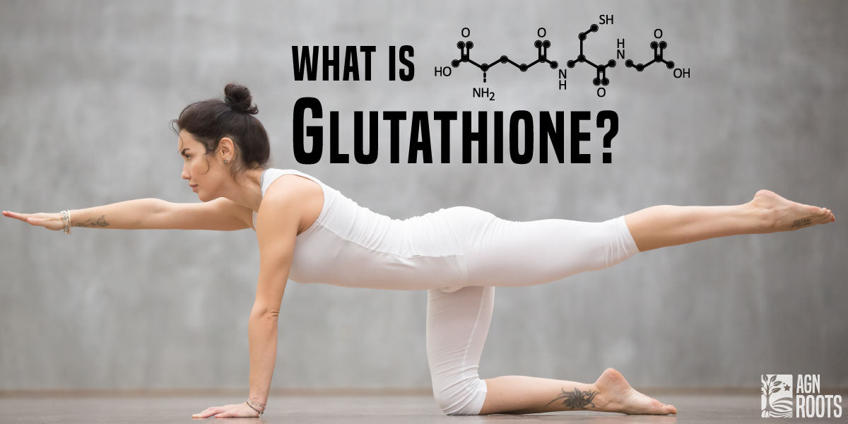 What is Glutathione in Whey Protein - Glutathione Explained in AGN Roots Grass-Fed Whey Protein Isolate