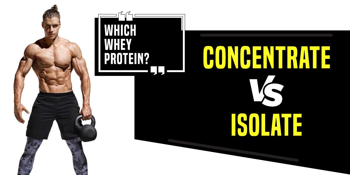 What's the difference between Whey Protein Isolate and Whey Protein Concentrate? 