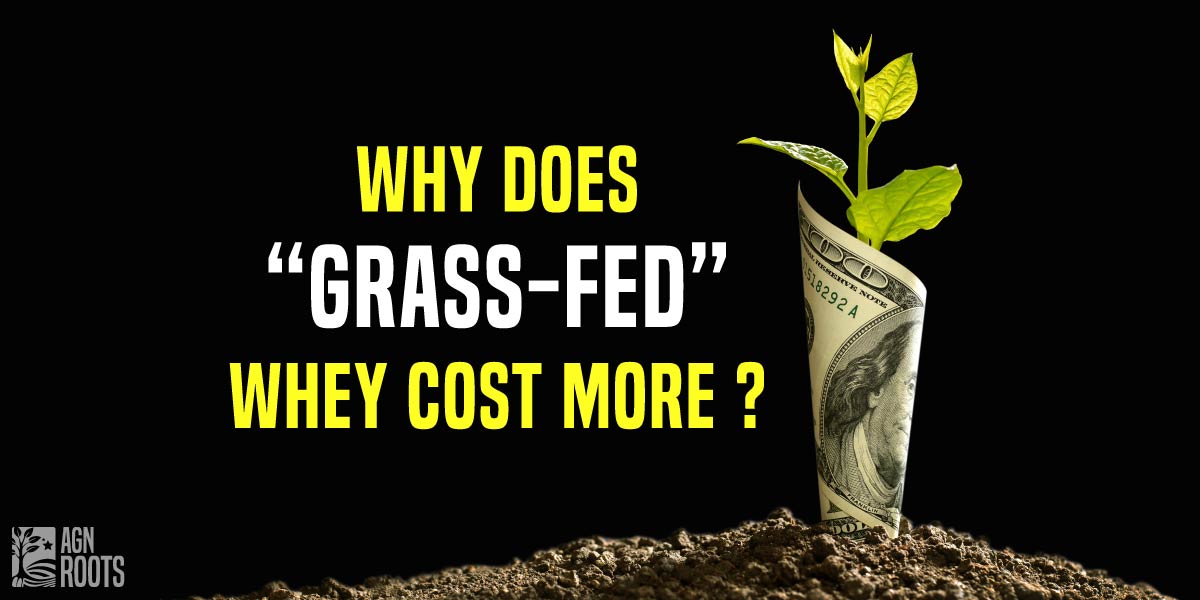 Why Does Grass-fed Whey Cost More?